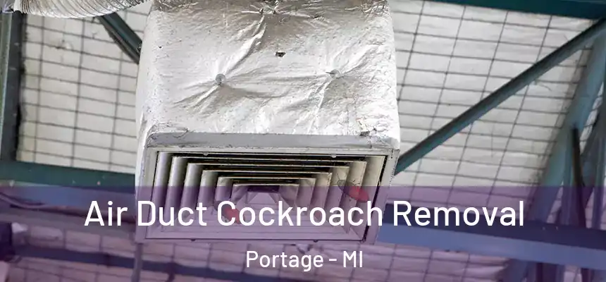 Air Duct Cockroach Removal Portage - MI