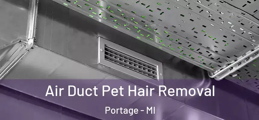 Air Duct Pet Hair Removal Portage - MI
