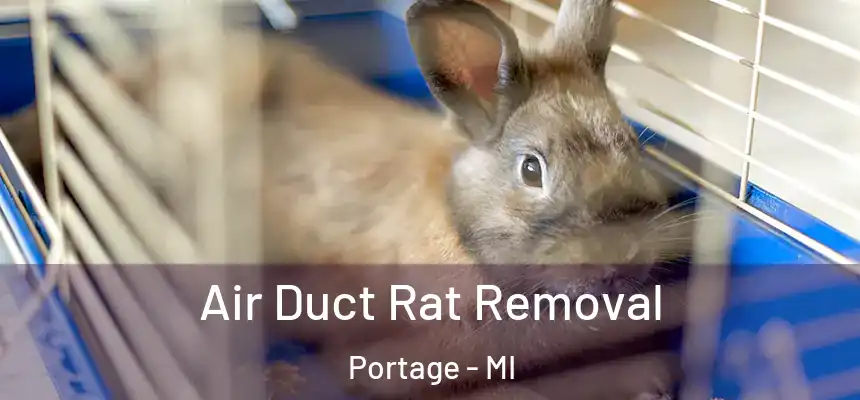  Air Duct Rat Removal Portage - MI