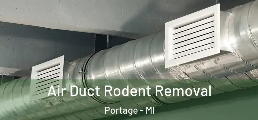 Air Duct Rodent Removal Portage - MI