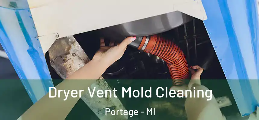 Dryer Vent Mold Cleaning Portage - MI