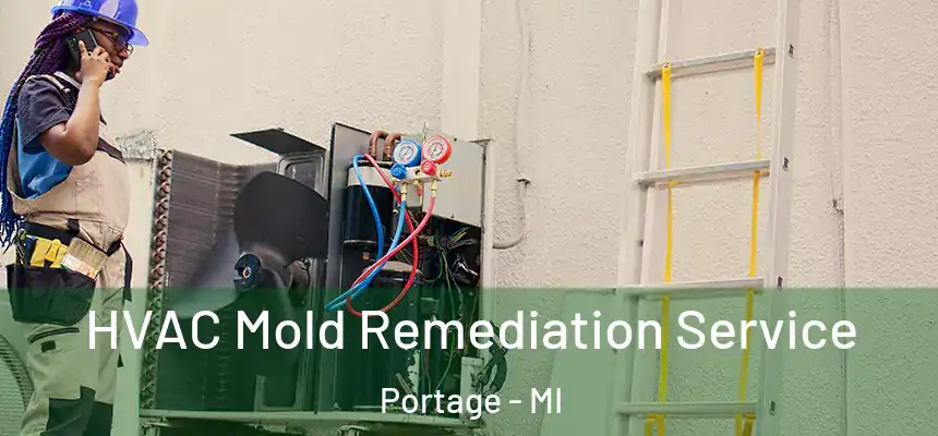 HVAC Mold Remediation Service Portage - MI
