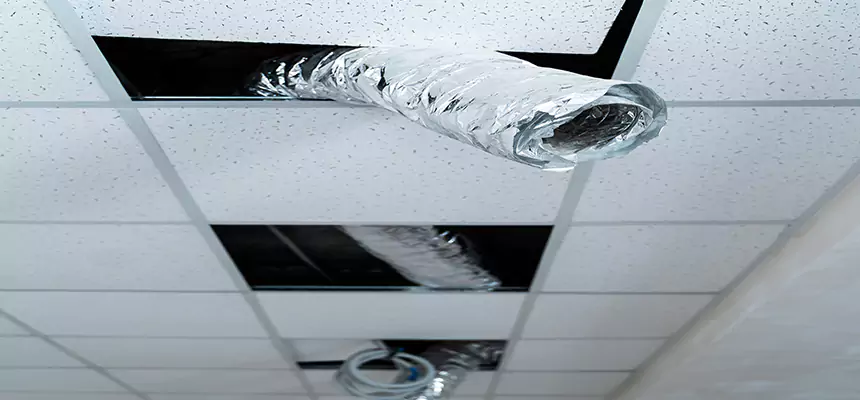 Our Air Duct Pet Hair Removal Services in Portage, MI