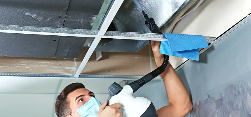 Our Air Duct Rodent Removal Services in Portage, MI