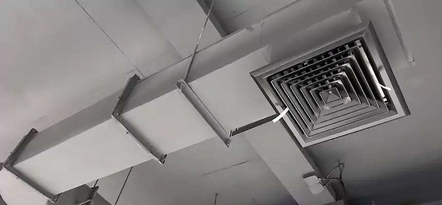 Our Pest Removal From Ducts Services in Portage, MI