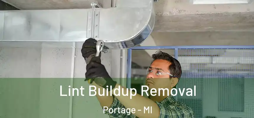  Lint Buildup Removal Portage - MI