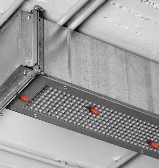 About Air Duct Cockroach Removal in Portage, MI