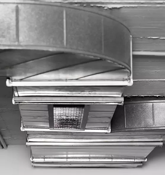 Professional Air Duct Pet Hair Removal in Portage, MI