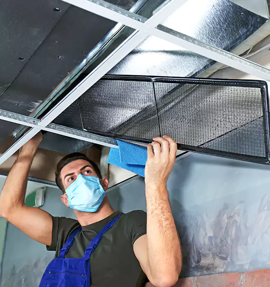 Professional Air Duct Pollen Cleaning in Portage, MI