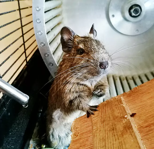 Why Homeowners & Businesses Trust Us Portage, MI